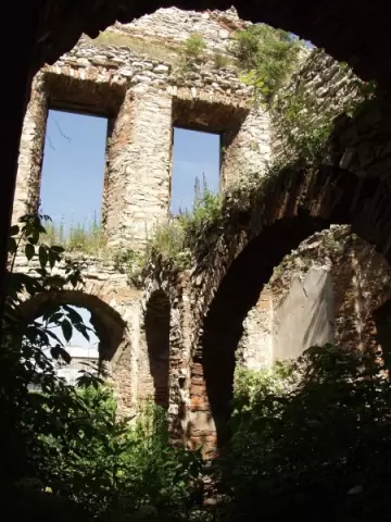 Zdjęcie: ruiny pałacu we Włodowicach